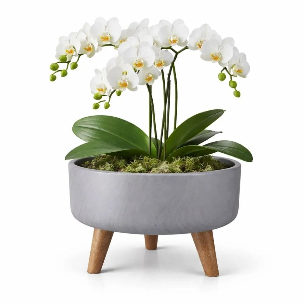 Vaso Bacia Linha Genebra com Tripé de Madeira