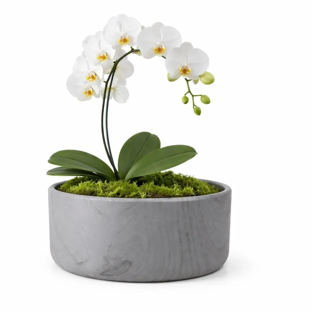 Vaso Bacia Linha Genebra em Cerâmica