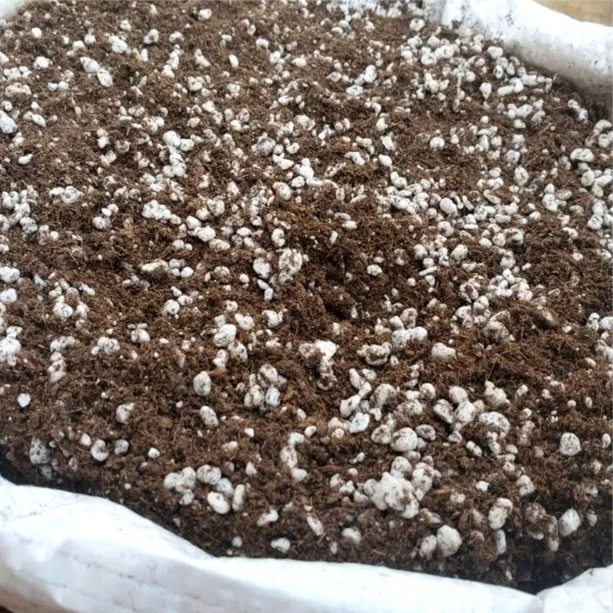 Substrato Sphagnotec Turfa + Perlita 50/50 25L