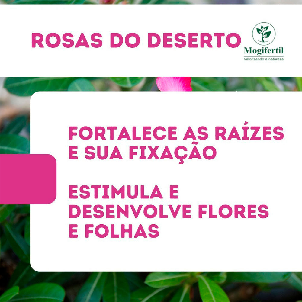 Substrato Terra Vegetal para Rosa do Deserto 20kg