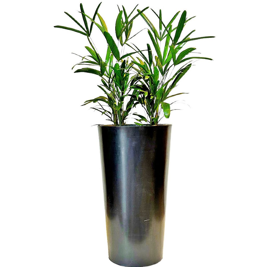 Vaso Brilhante Damasco em Polietileno