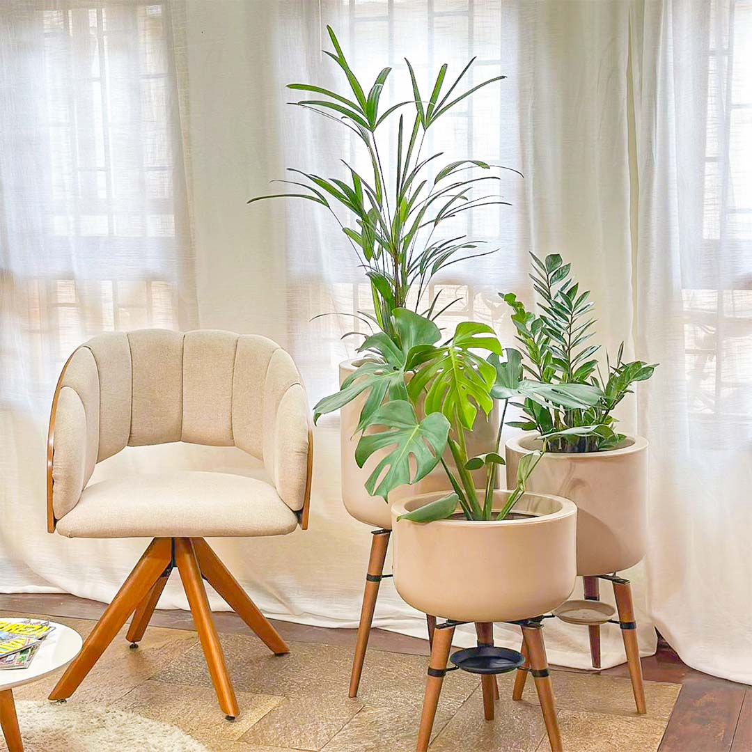 Kit 3 Vasos Linha Doha com Tripé de Madeira