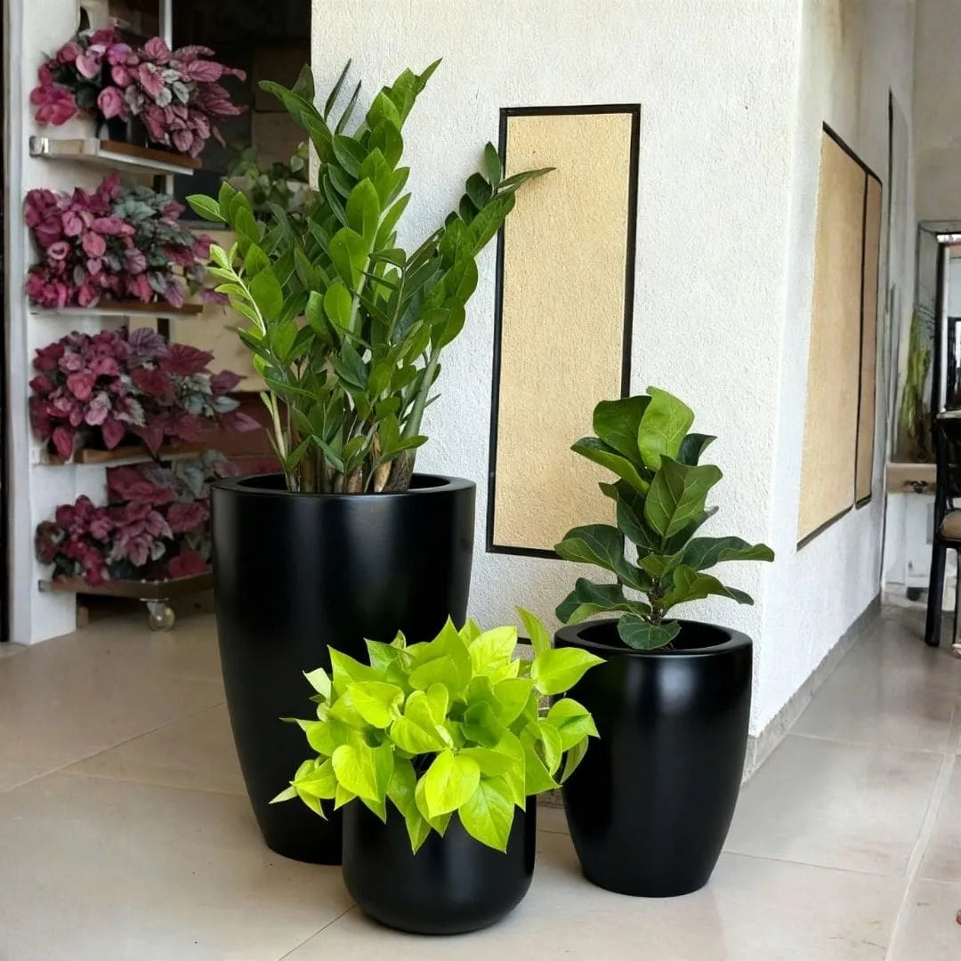 Kit 3 Vasos Polietileno Cone + Bacia