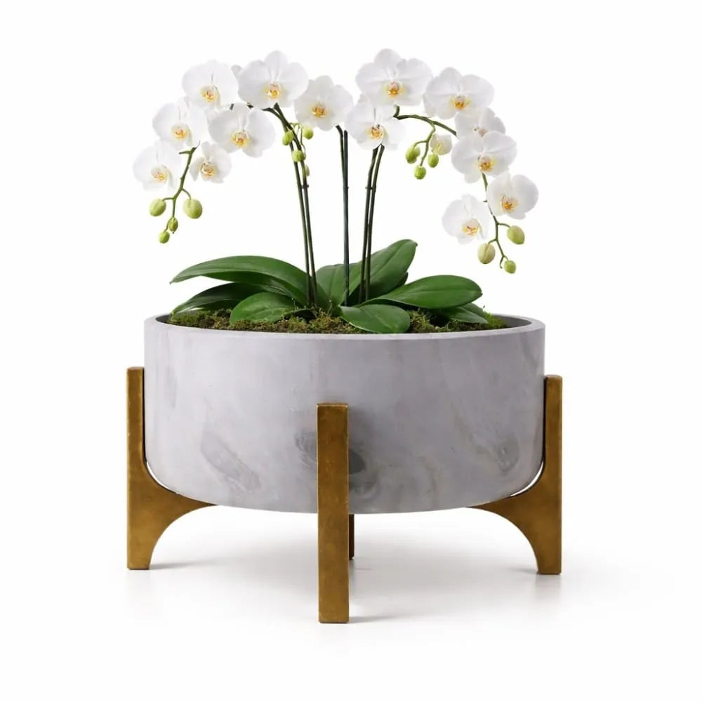 Vaso Bacia Linha Genebra com Suporte de Madeira