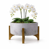 Vaso Bacia Linha Genebra com Suporte de Madeira