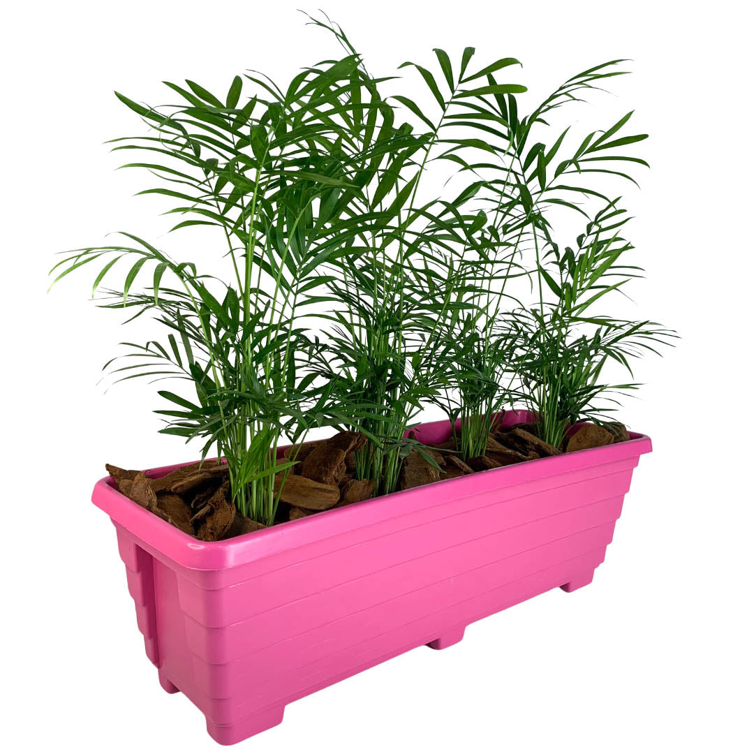 Jardineira Floreira de Plástico 50cm