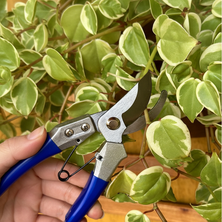 Tesoura de Poda com Trava de Segurança