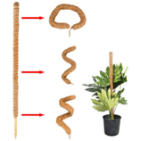 Tutor Estaca em Fibra de Coco para Plantas