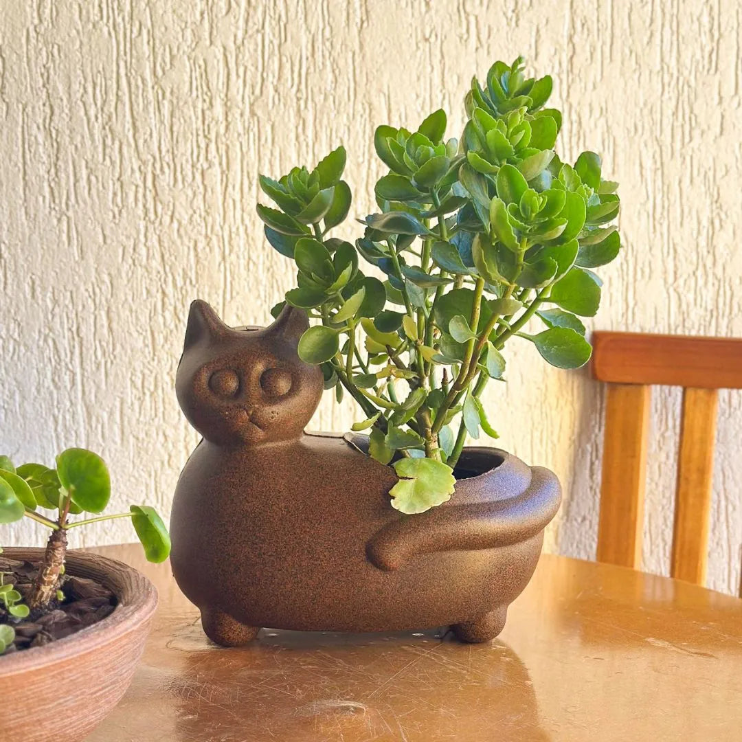 Vaso Decorativo Gato