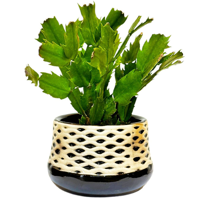Vaso Cachepot de Cerâmica Preto com Textura Ondulada Branca 15x11cm
