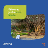 Fixador de Pedras Soltas Avena 1L