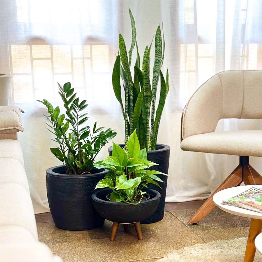 Kit 3 Vasos Decorativos em Polietileno