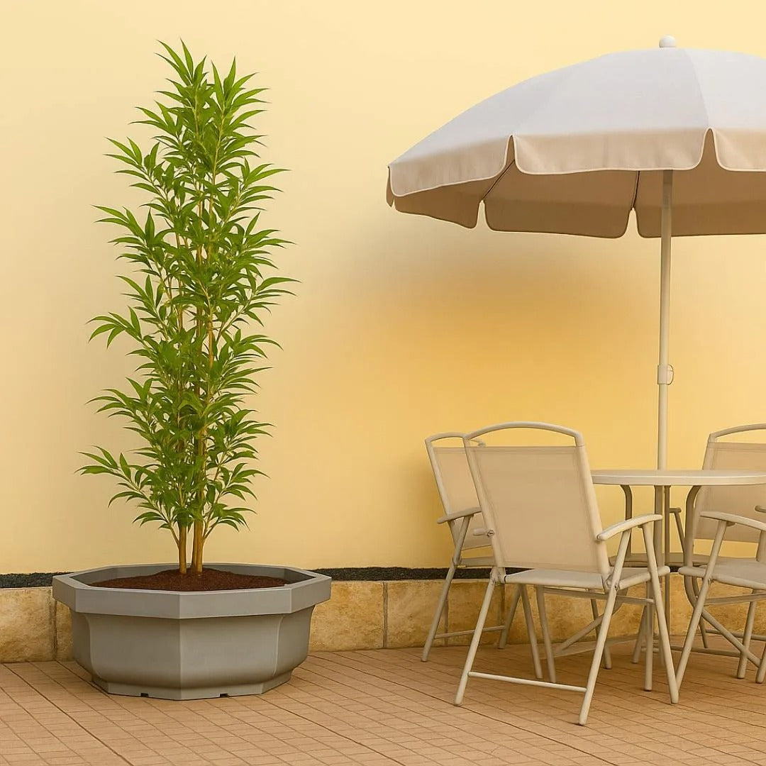 Vaso Bacia Oitavado Siena em Polietileno