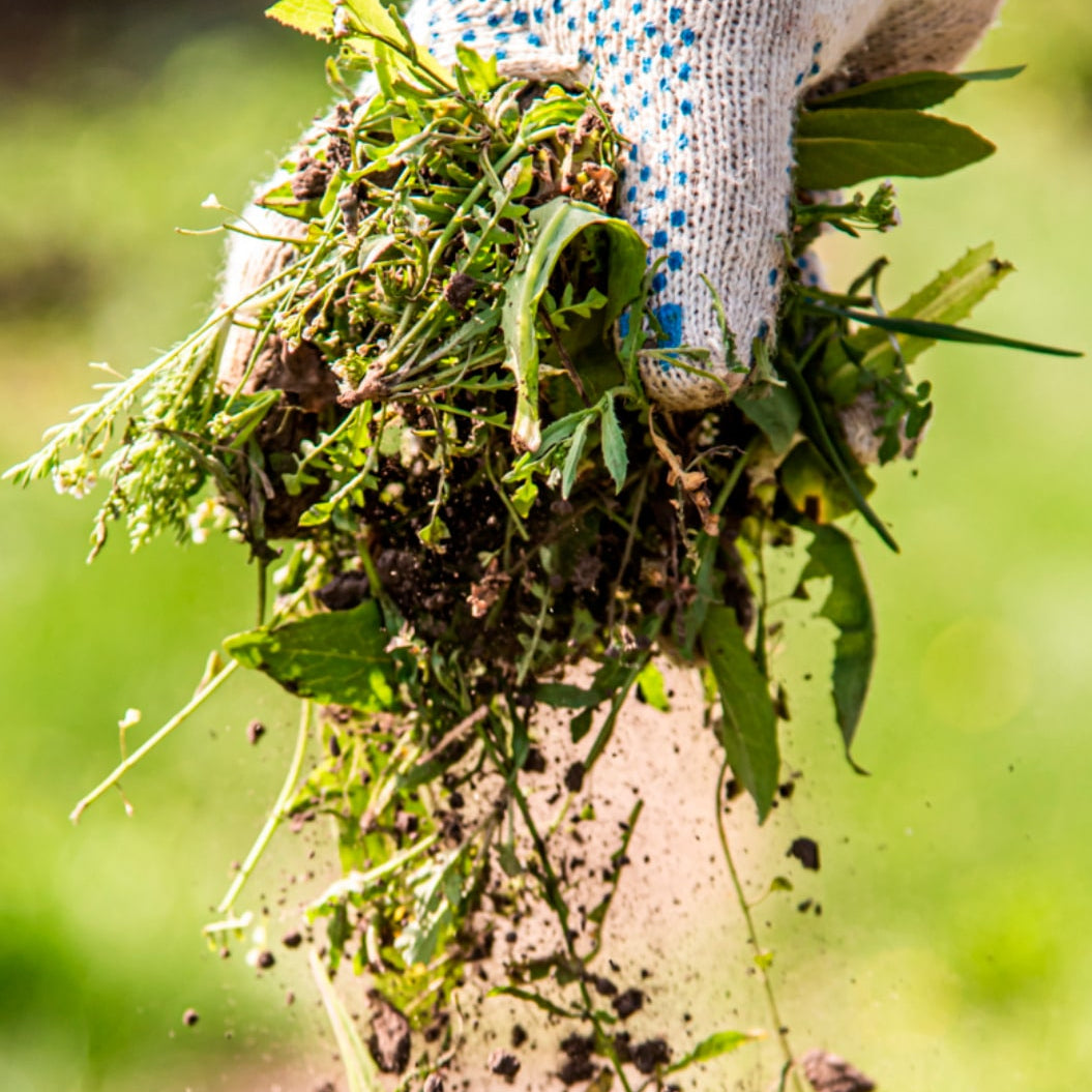 Kit Elimina Mato com Pulverizador Manual