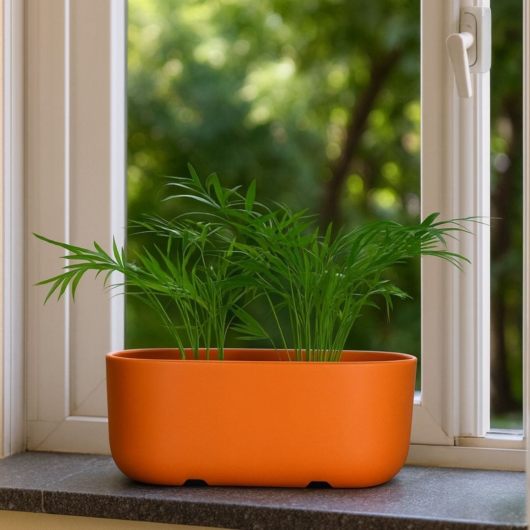Jardineira Doha em Polietileno 30x17cm