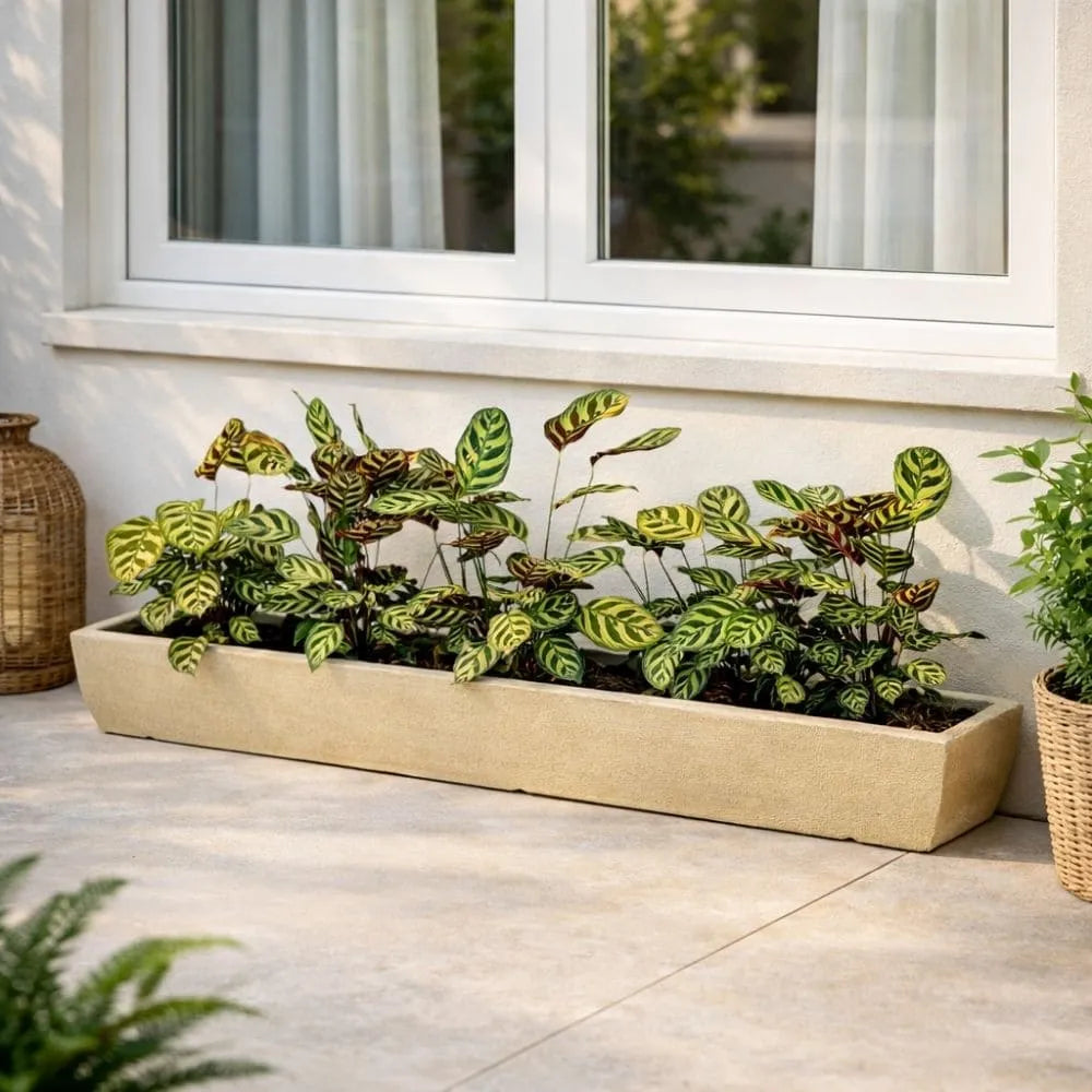 Jardineira Viena Fina em Polietileno