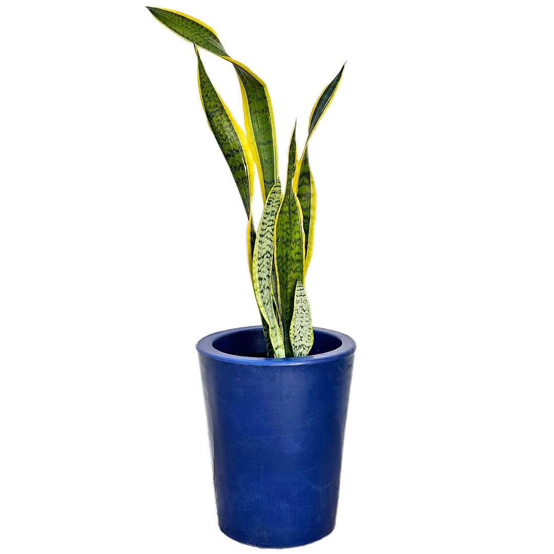 Kit 3 Vasos Damasco Brilhantes