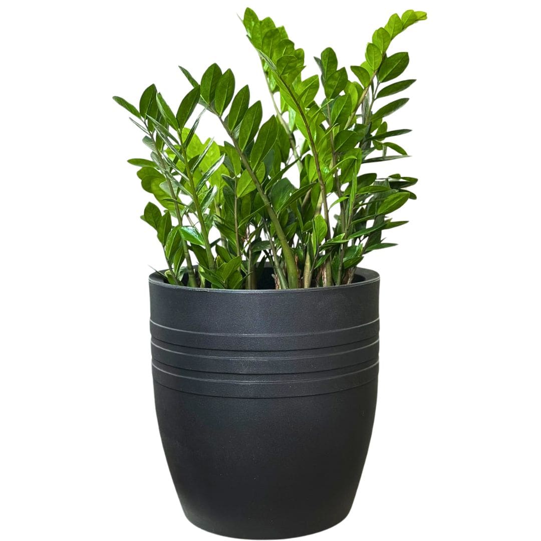 Vaso Mônaco Texturizado em Polietileno