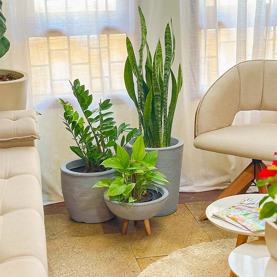 Kit 3 Vasos Decorativos em Polietileno