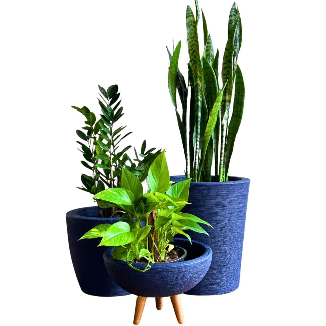 Kit 3 Vasos Decorativos em Polietileno