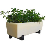 Suporte Jardim Vertical com Jardineira
