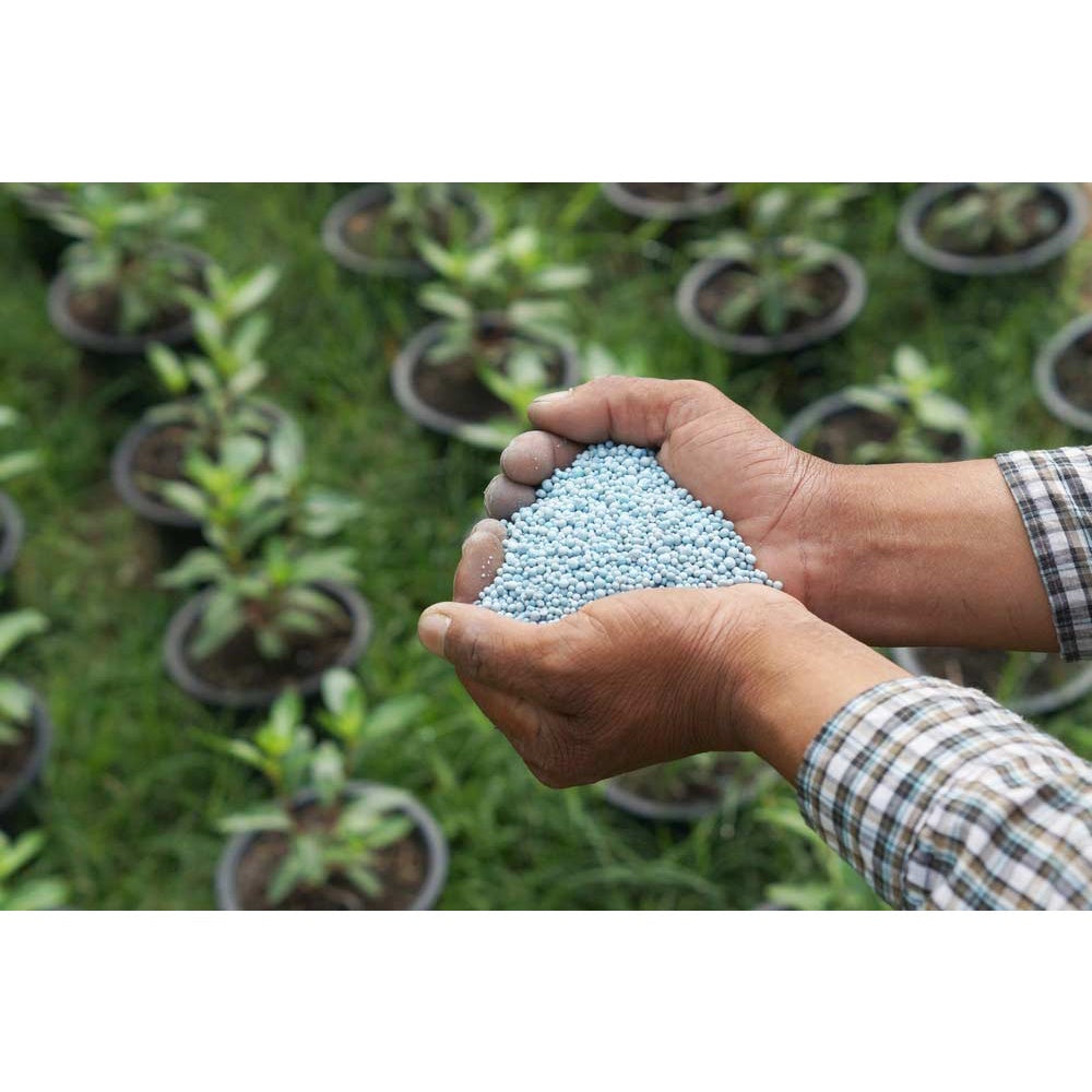 Forth Adubo para Rosa do Deserto 3kg