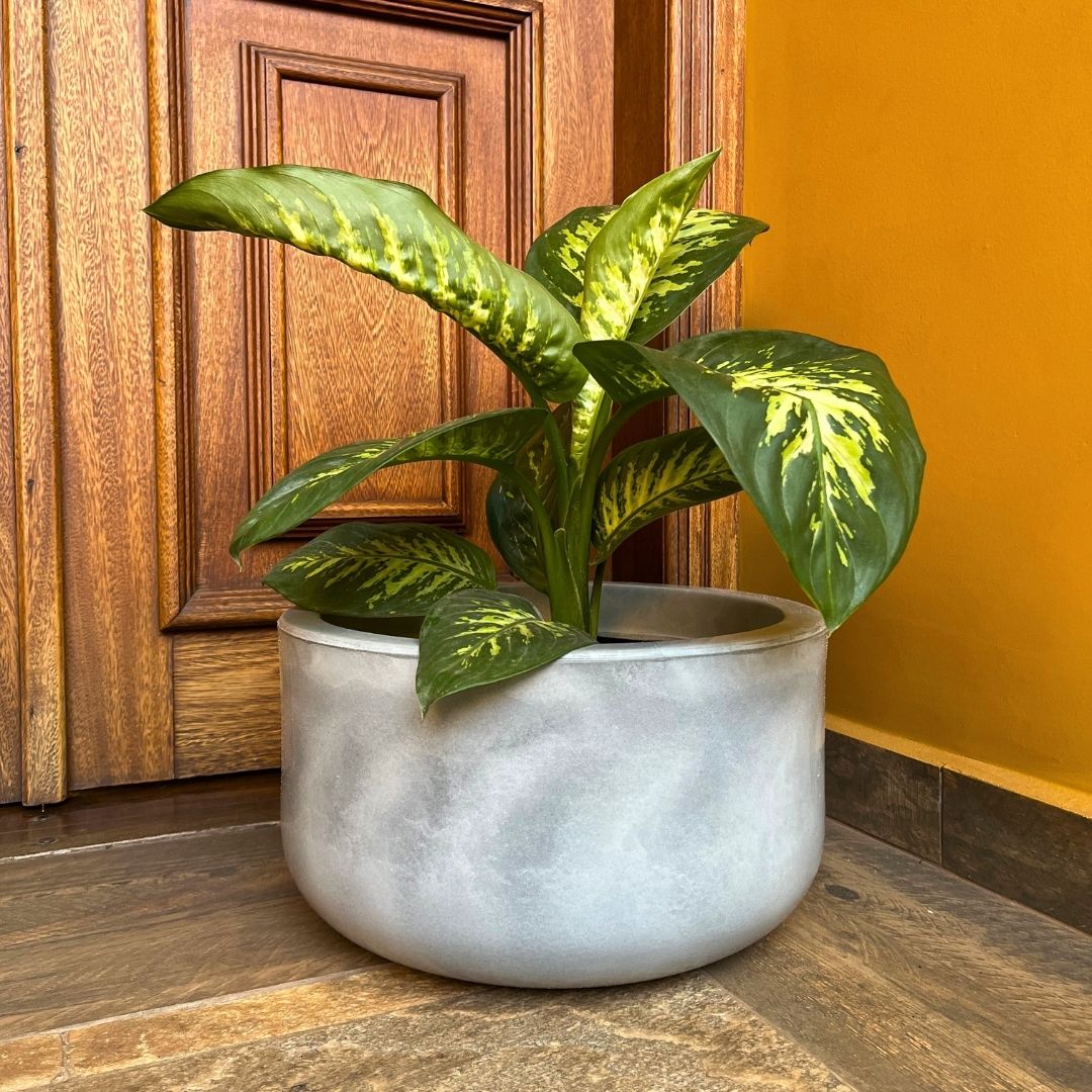 Vaso Bacia Linha Doha em Polietileno