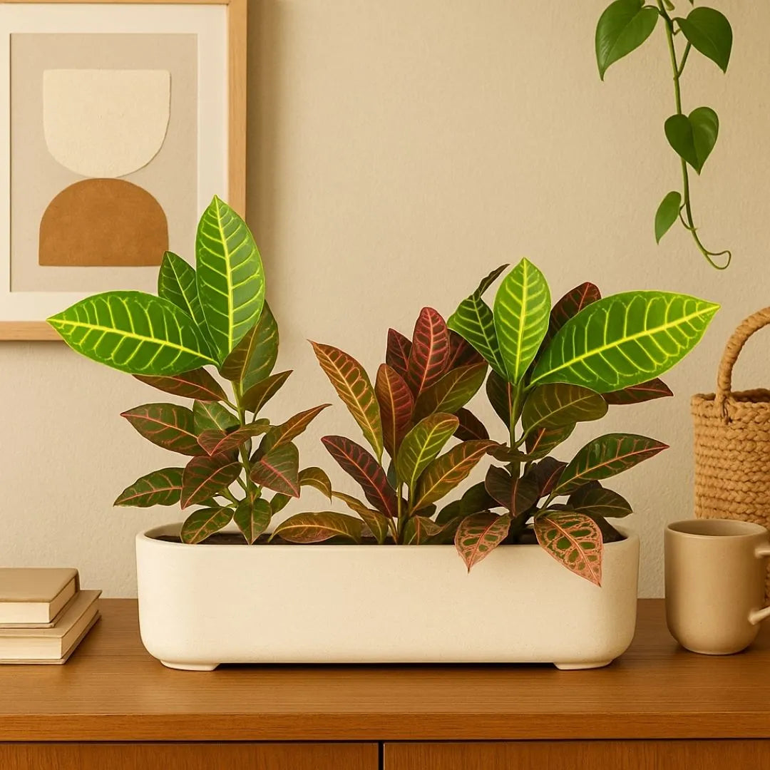 Jardineira Doha em Polietileno 50x17cm