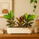 Jardineira Doha em Polietileno 50x17cm