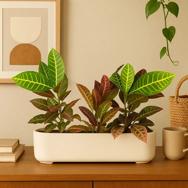 Jardineira Doha em Polietileno 50x17cm
