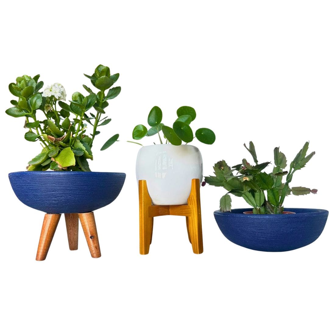 Kit 3 Vasos Pequenos para Espaços Compactos