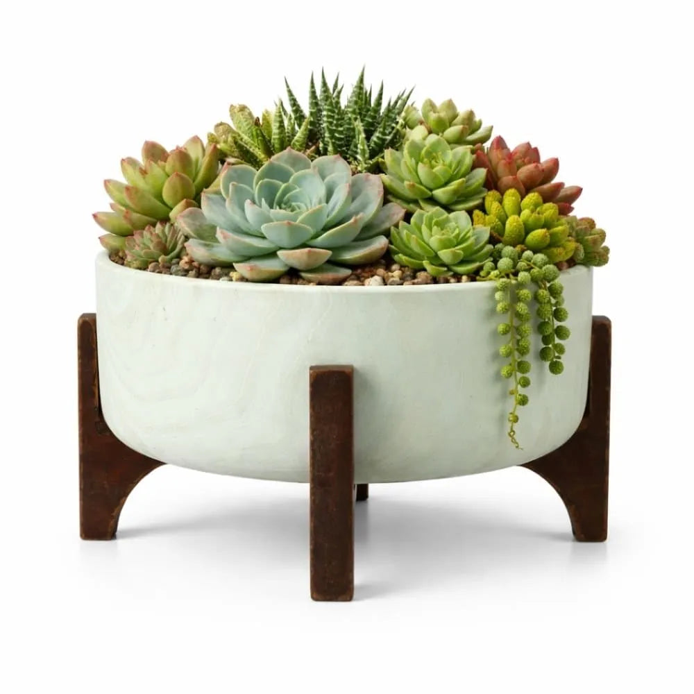 Vaso Bacia Linha Genebra com Suporte de Madeira