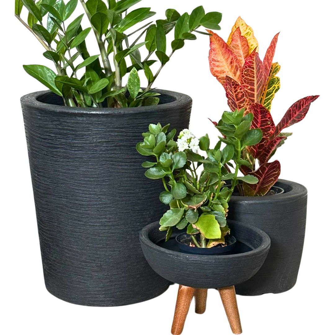 Kit 3 Vasos Decorativos para Pequenos Espaços