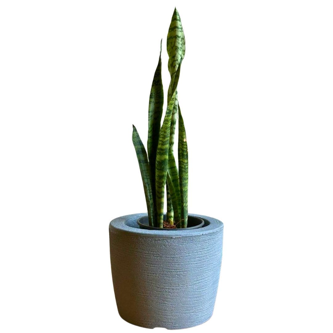 Kit 3 Vasos Decorativos para Pequenos Espaços