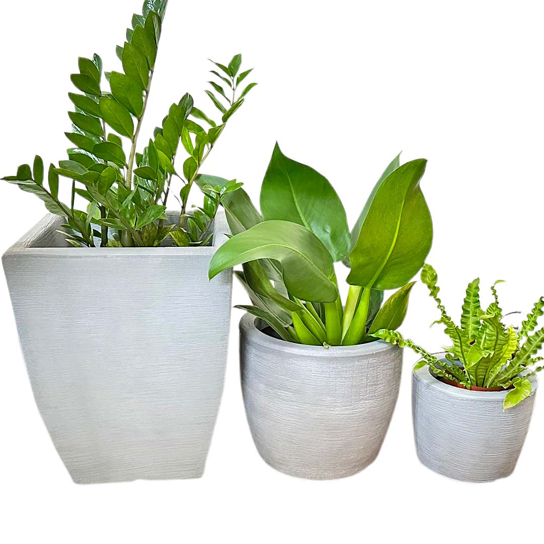 Kit 3 Vasos Texturizados Pequenos