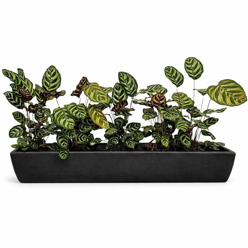 Jardineira Viena Fina em Polietileno