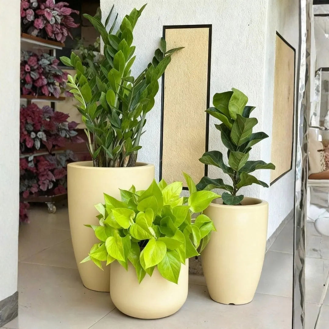 Kit 3 Vasos Polietileno Cone + Bacia