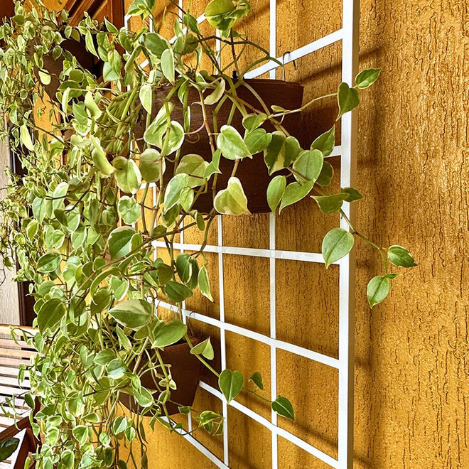 Painel de Ferro para Jardim Vertical