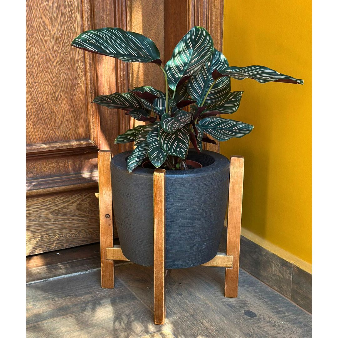 Kit Vaso Decorativo em Polietileno + Suporte de Madeira Rústica