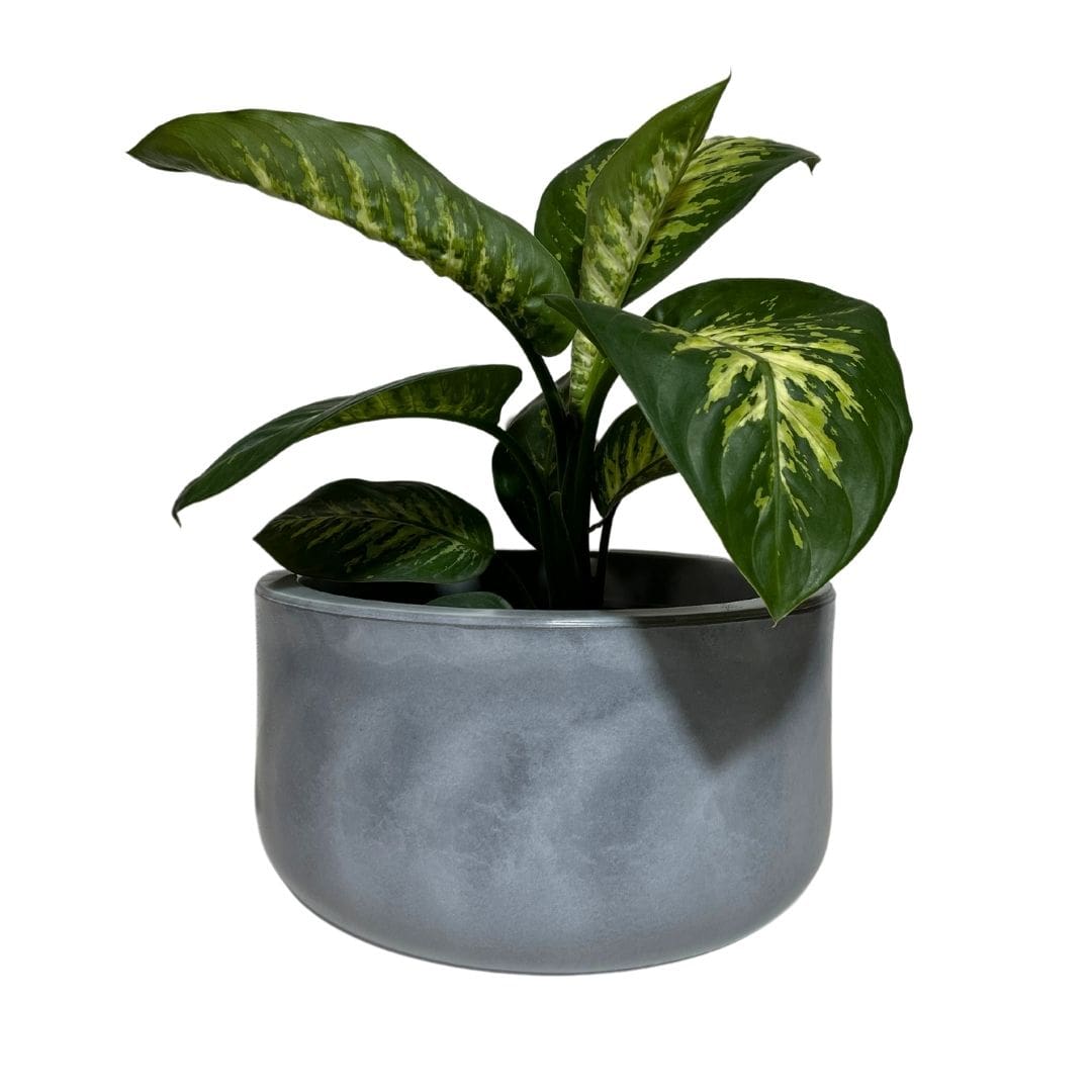 Vaso Bacia Linha Doha em Polietileno