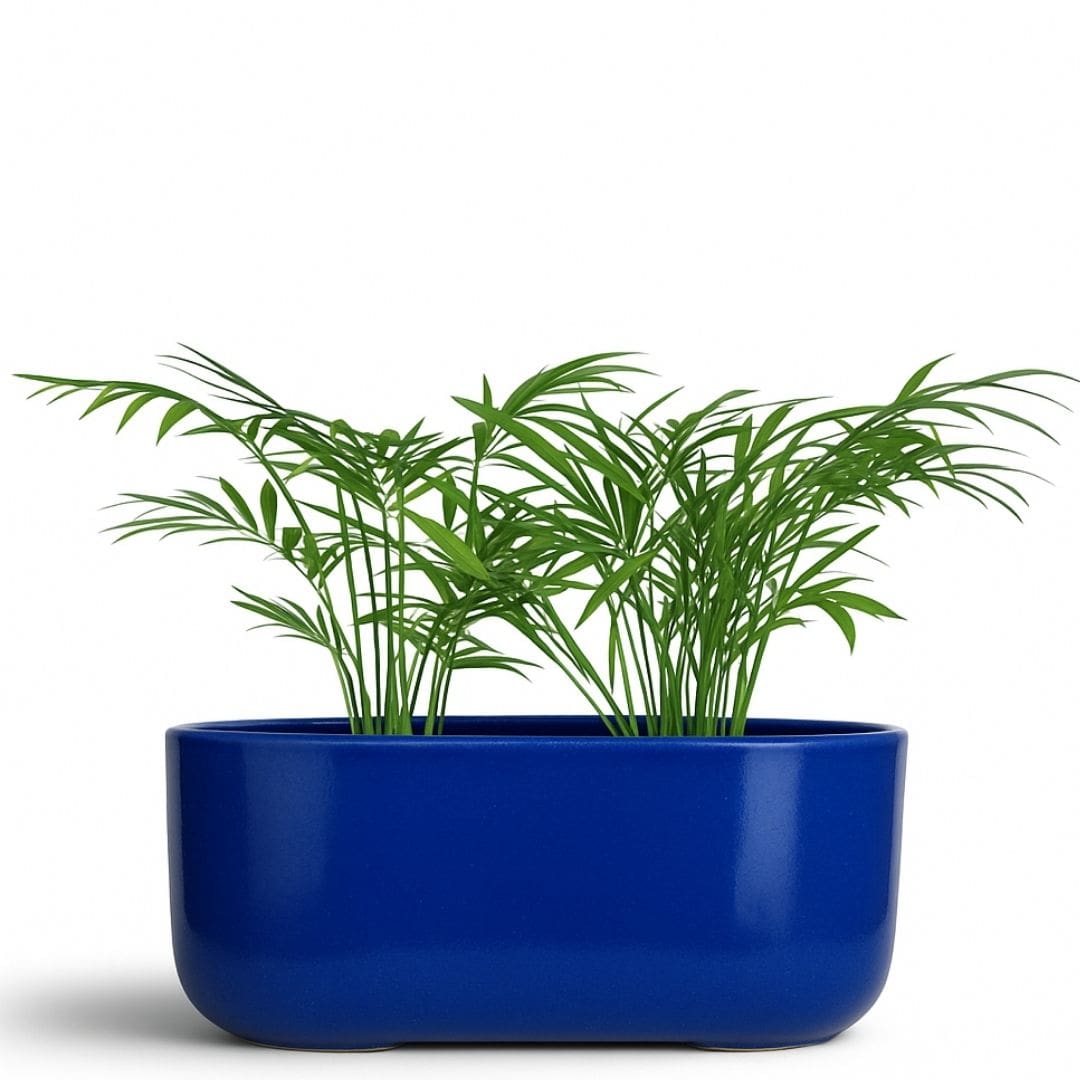 Jardineira Doha em Polietileno 30x17cm
