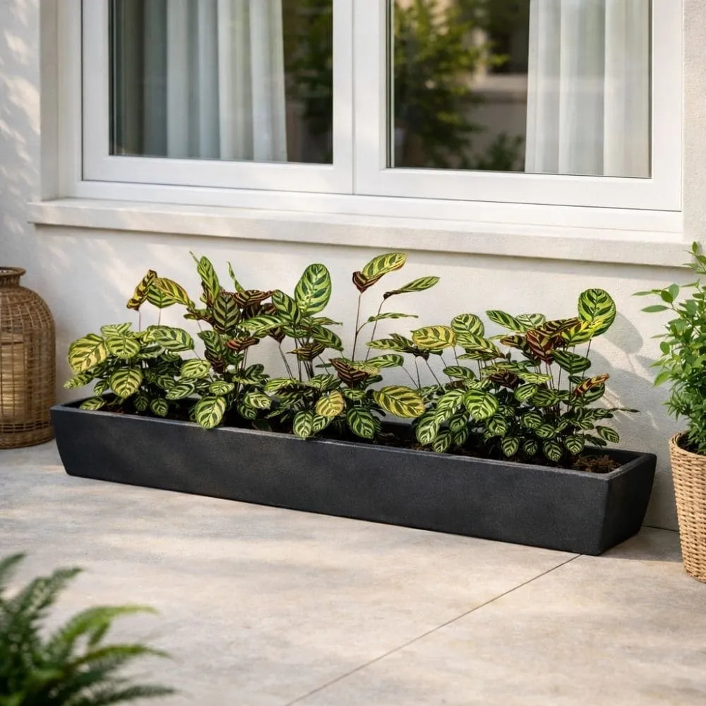 Jardineira Viena Fina em Polietileno