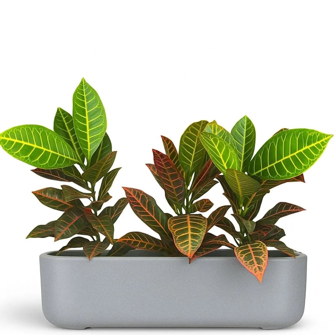 Jardineira Doha em Polietileno 50x17cm