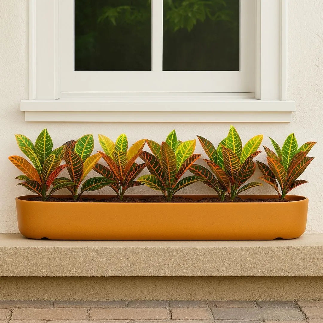Jardineira Doha em Polietileno 80x17cm
