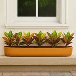 Jardineira Doha em Polietileno 80x17cm