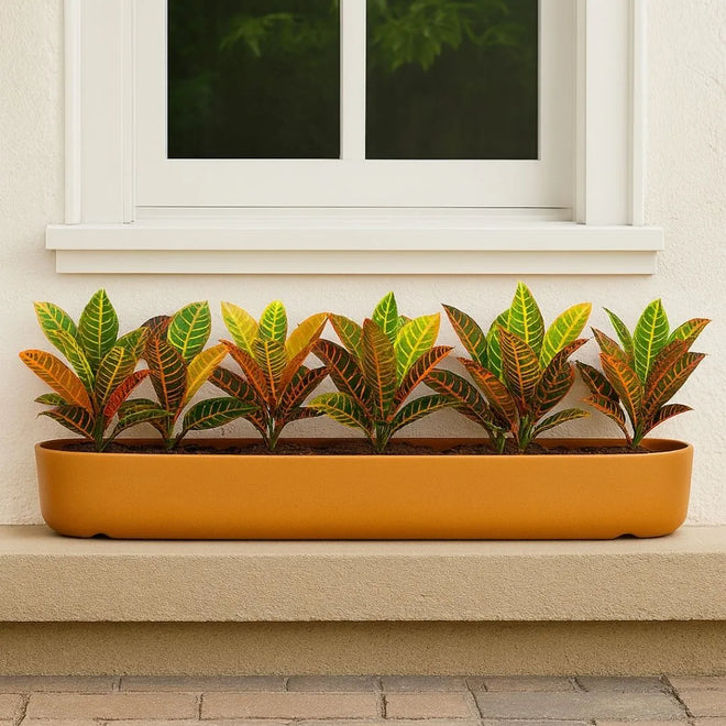 Jardineira Doha em Polietileno 80x17cm