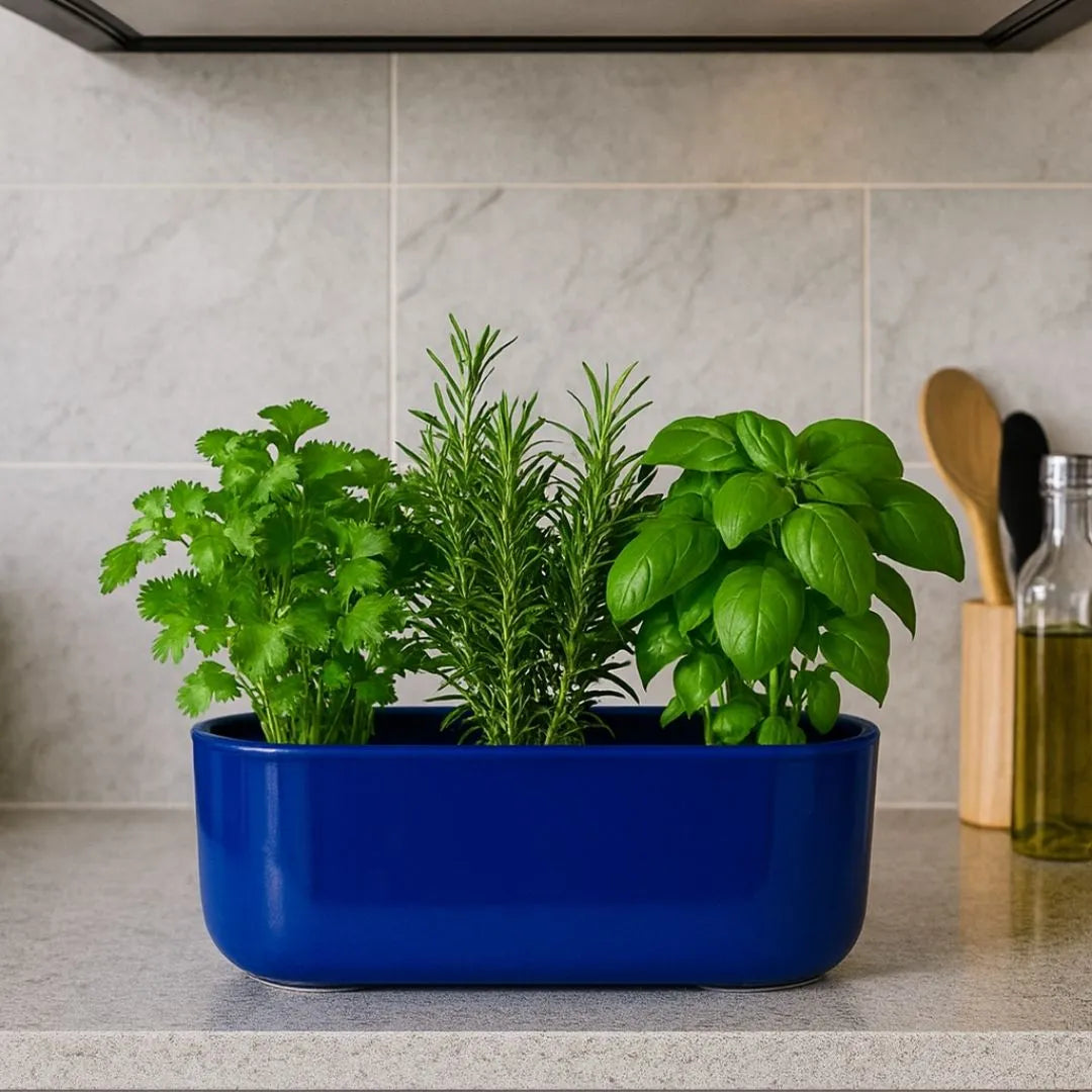 Jardineira Doha em Polietileno