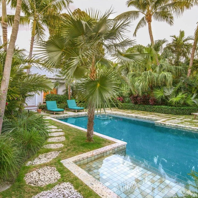 Forth Adubo para Palmeiras 400g