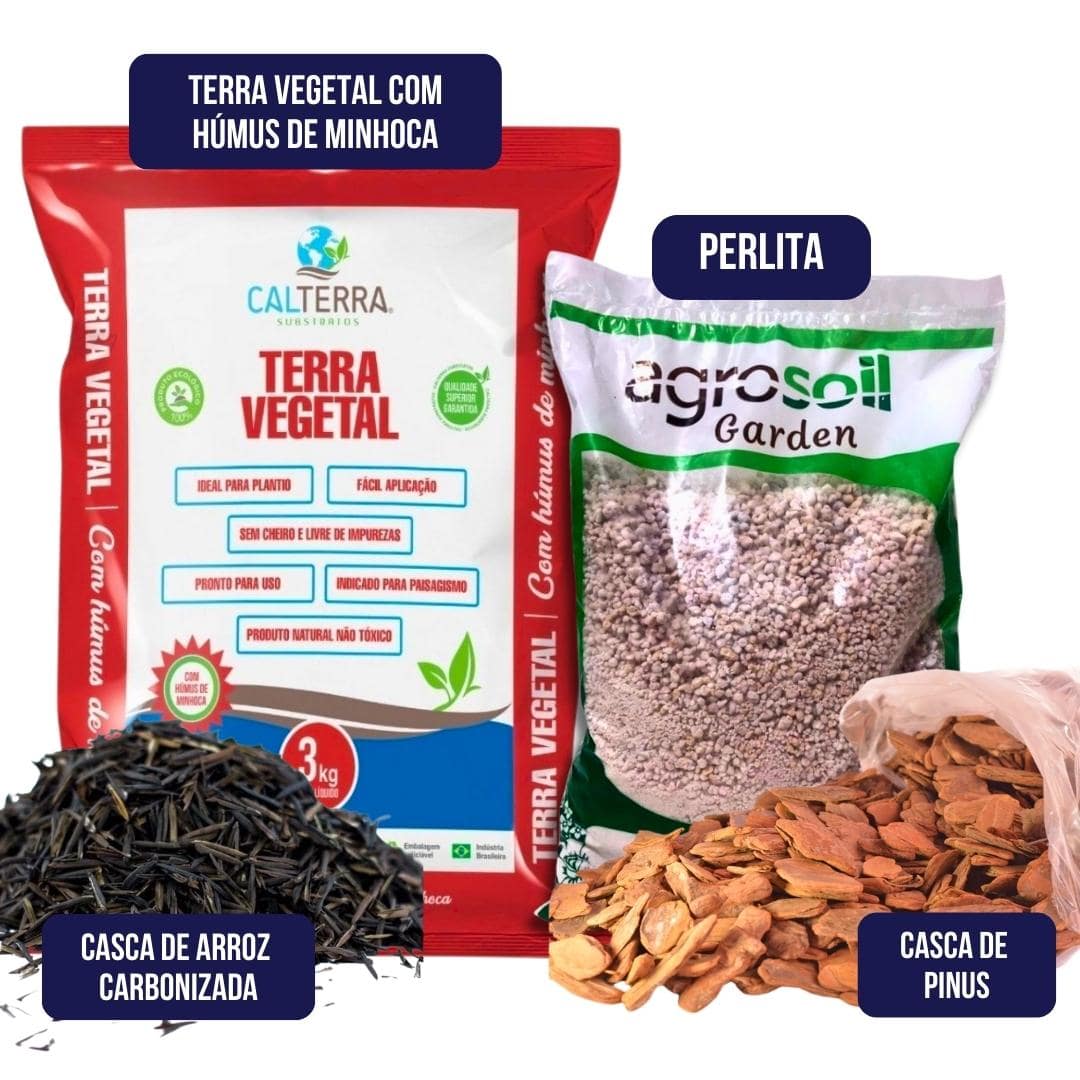 Kit da Carina Para Plantio de Mudinhas - O Melhor Substrato