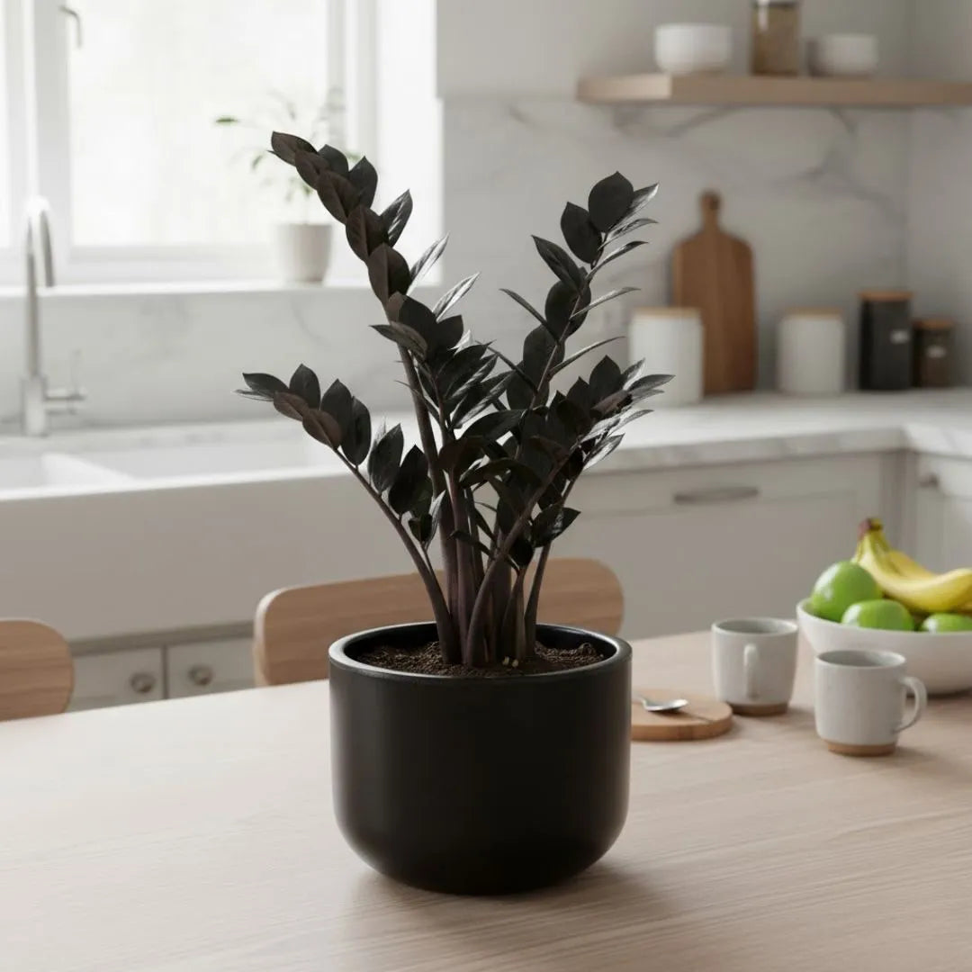 Vaso Doha Médio em Polietileno